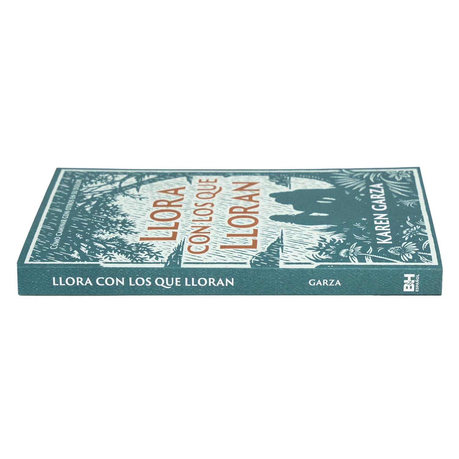 Llora con los que Lloran: Cómo caminar con otros en su dolor