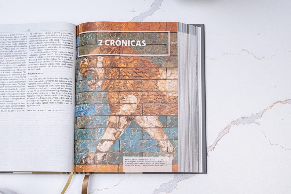 Biblia Reina Valera 1960 Ilustrada de la Tierra Santa Tapa Dura