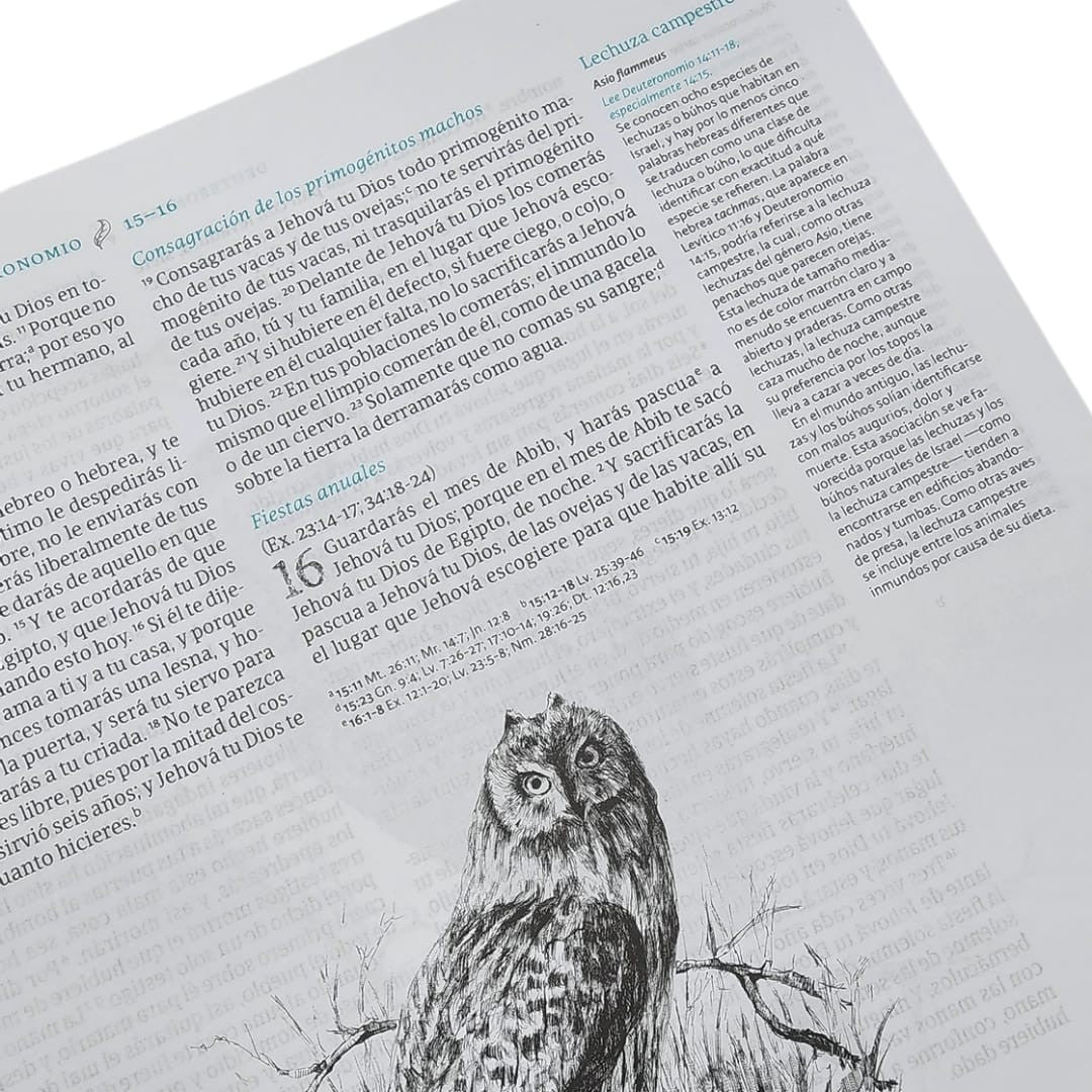 Biblia Reina Valera 1960 Ilustrada De La Creacion, Turquesa Tela