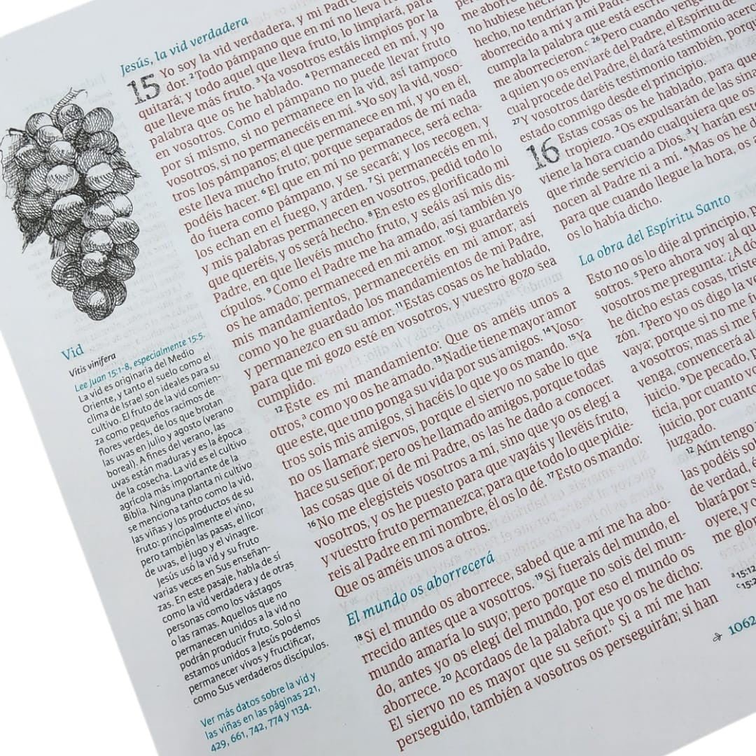 Biblia Reina Valera 1960 Ilustrada De La Creacion, Turquesa Tela