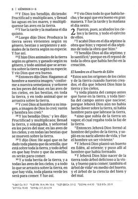 Biblia Rvr 60 Letra 12P 15 X 21 Tamano Manual, Cafe Piel Fabricada