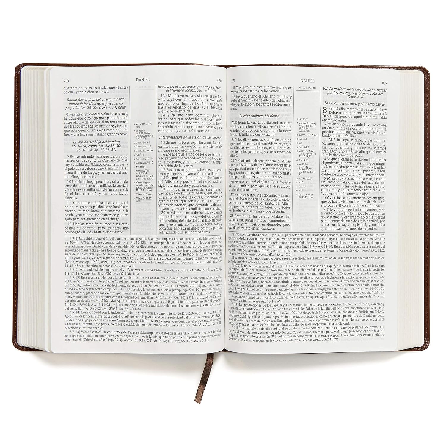 Biblia De Estudio Scofield Tapa Simil Piel Chocolate Reina Valera 1960