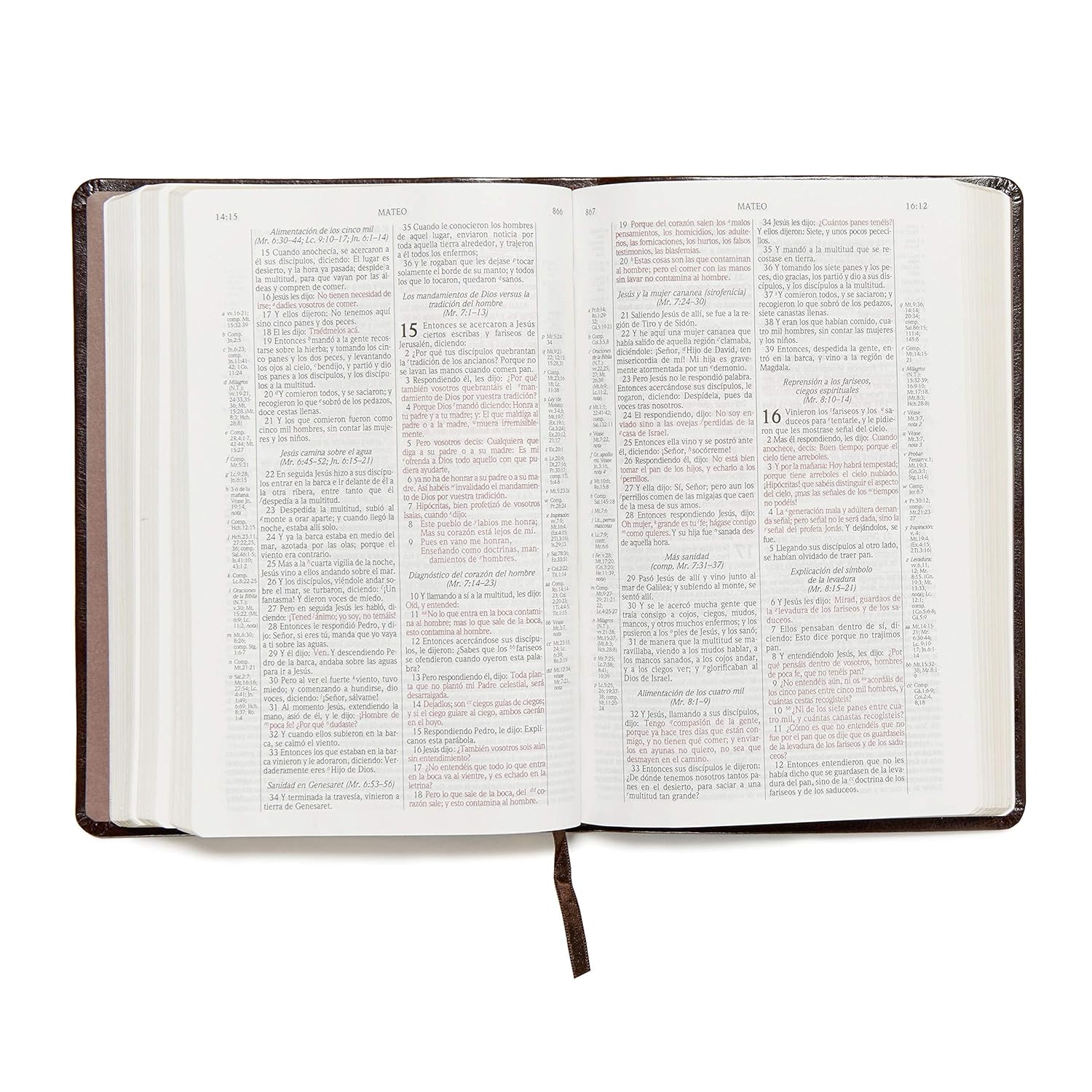 Biblia De Estudio Scofield Tapa Simil Piel Chocolate Reina Valera 1960