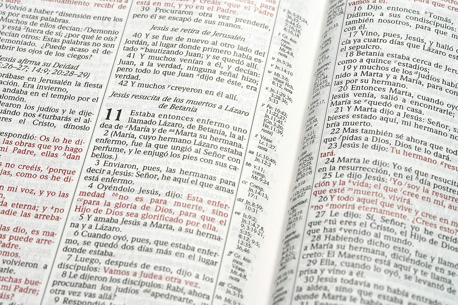 Biblia De Estudio Scofield Tapa Simil Piel Chocolate Reina Valera 1960