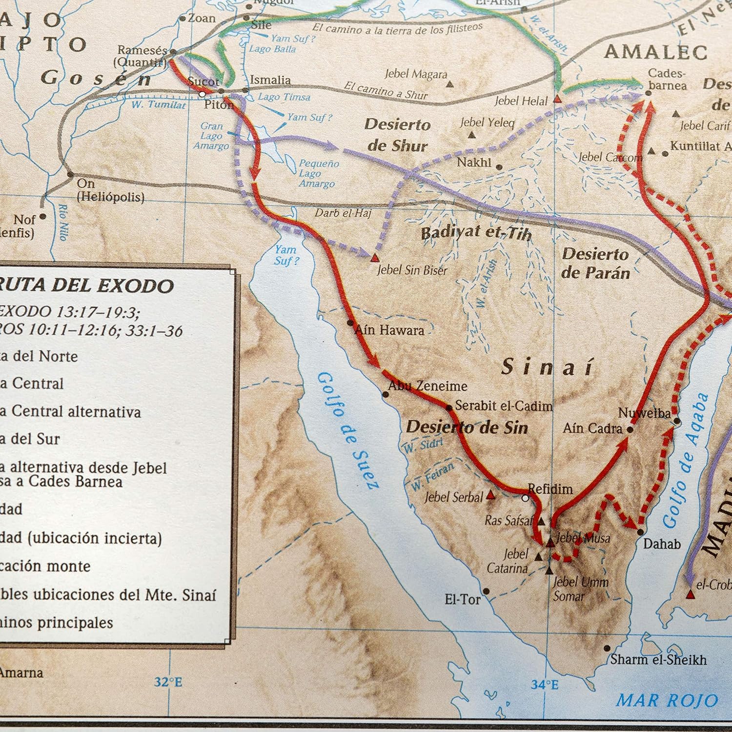 Biblia De Estudio Scofield Tapa Simil Piel Chocolate Reina Valera 1960