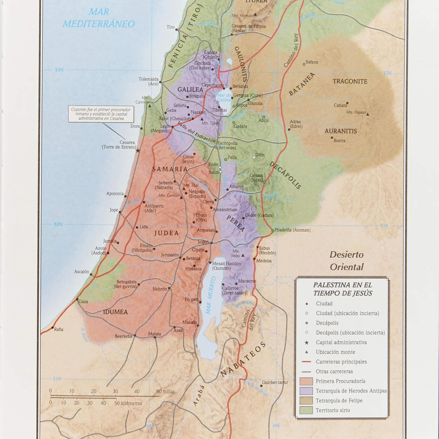 Biblia De Estudio Scofield Tapa Simil Piel Chocolate Reina Valera 1960