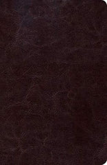 Biblia de Estudio Scofield Reina Valera 1960 Tamaño Personal Chocolate Oscuro Simil Piel