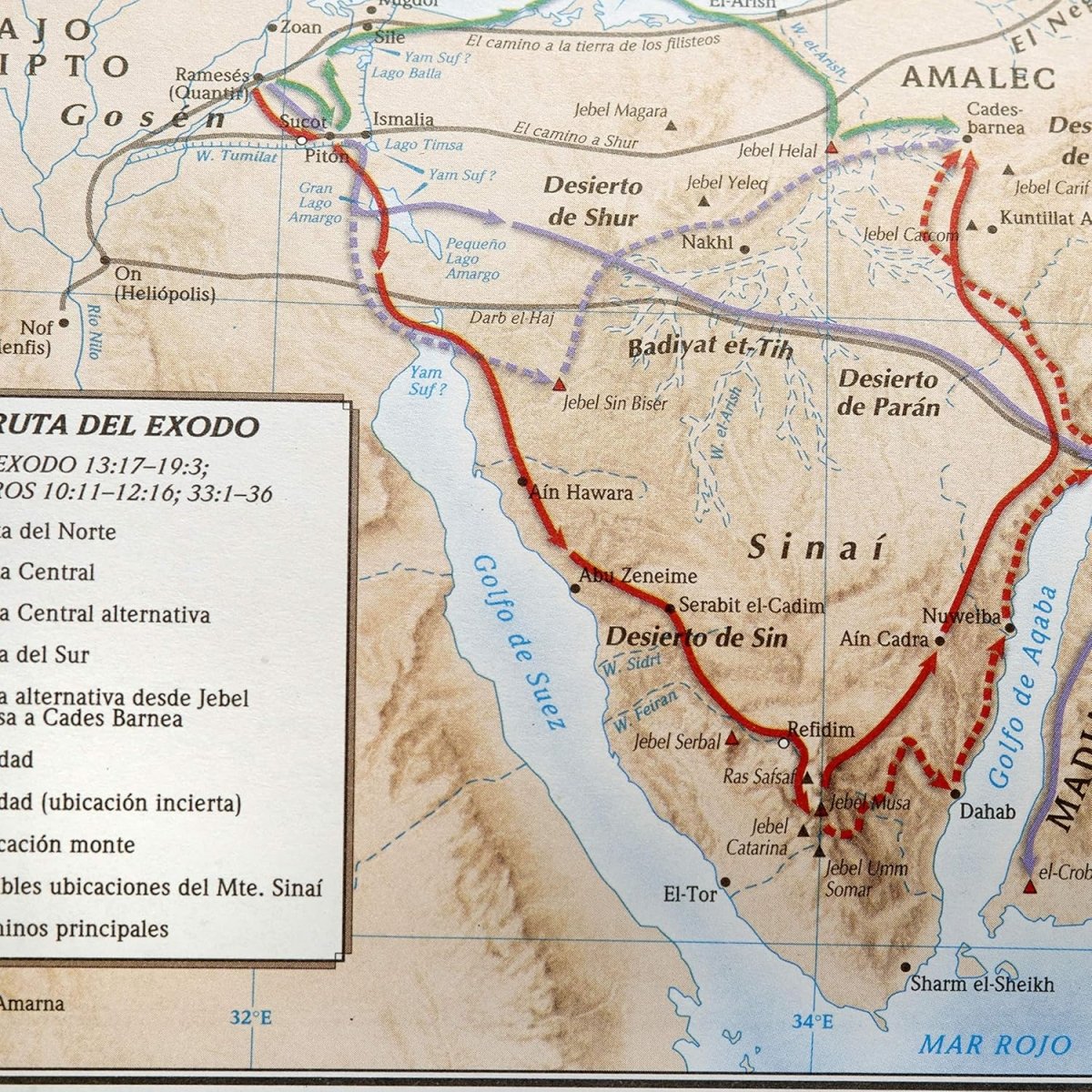 Biblia de Estudio Scofield Reina Valera 1960 Tamaño Personal Chocolate Oscuro Simil Piel
