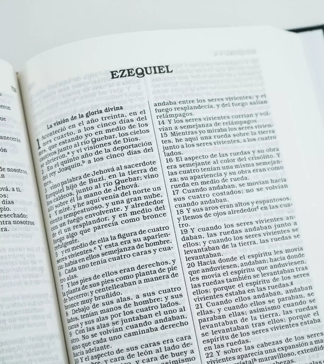 Biblia Rvr 60 Para Regalos Y Premios Letra 8P 14X20, Negro Tapa Dura