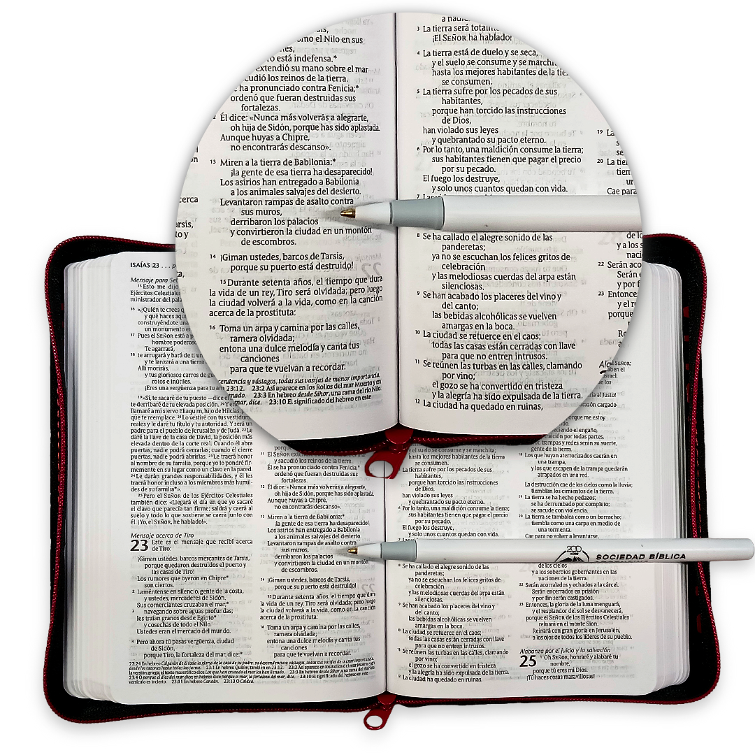 Biblia Nueva Traducción Viviente Letra Compacta Canto plateado Cierre Gris