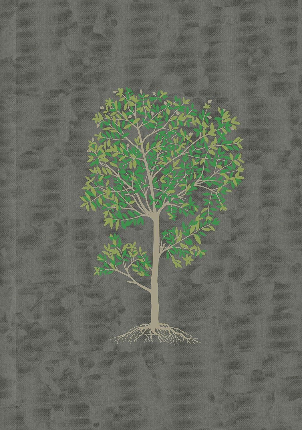 Biblia Nueva Traducción Viviente de Estudio Diario Vivir PJR Tapa Dura