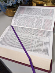 Biblia Reina Valera 1960 Letra Compacta PJR Tapa PU Ciruela