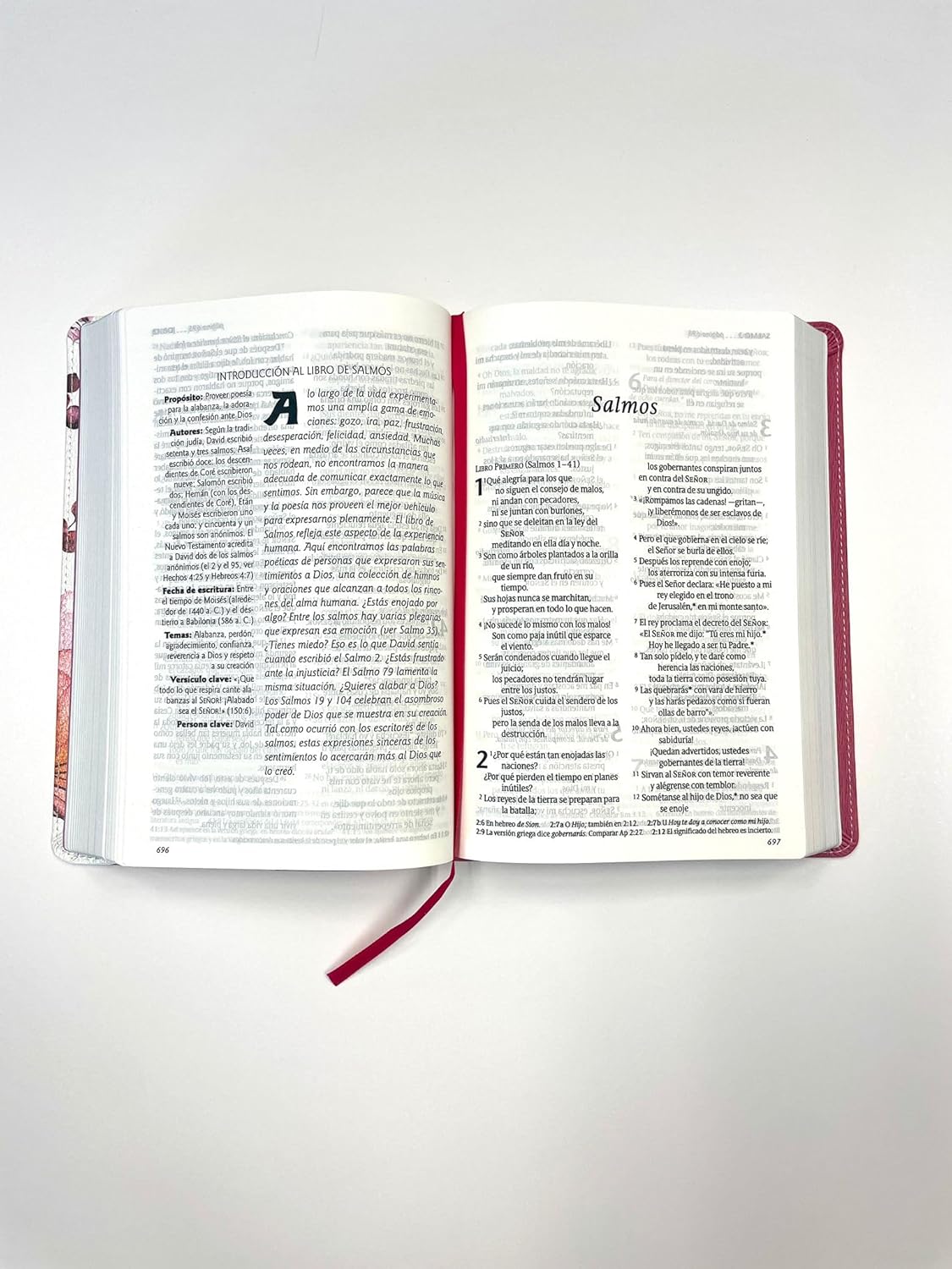 Biblia Nueva Traducción Viviente Letra Mediana PJR Flores Rosa