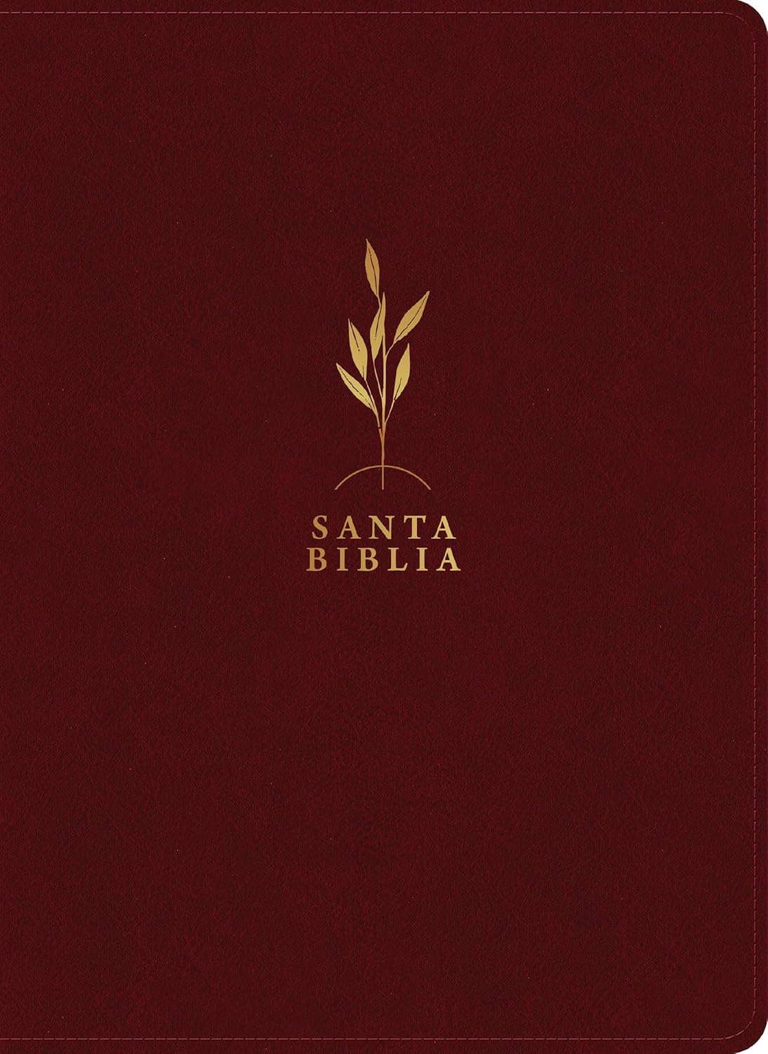 Biblia Reina Valera 1960 Estudio Diario Vivir Letra Mediana PJR Bordo