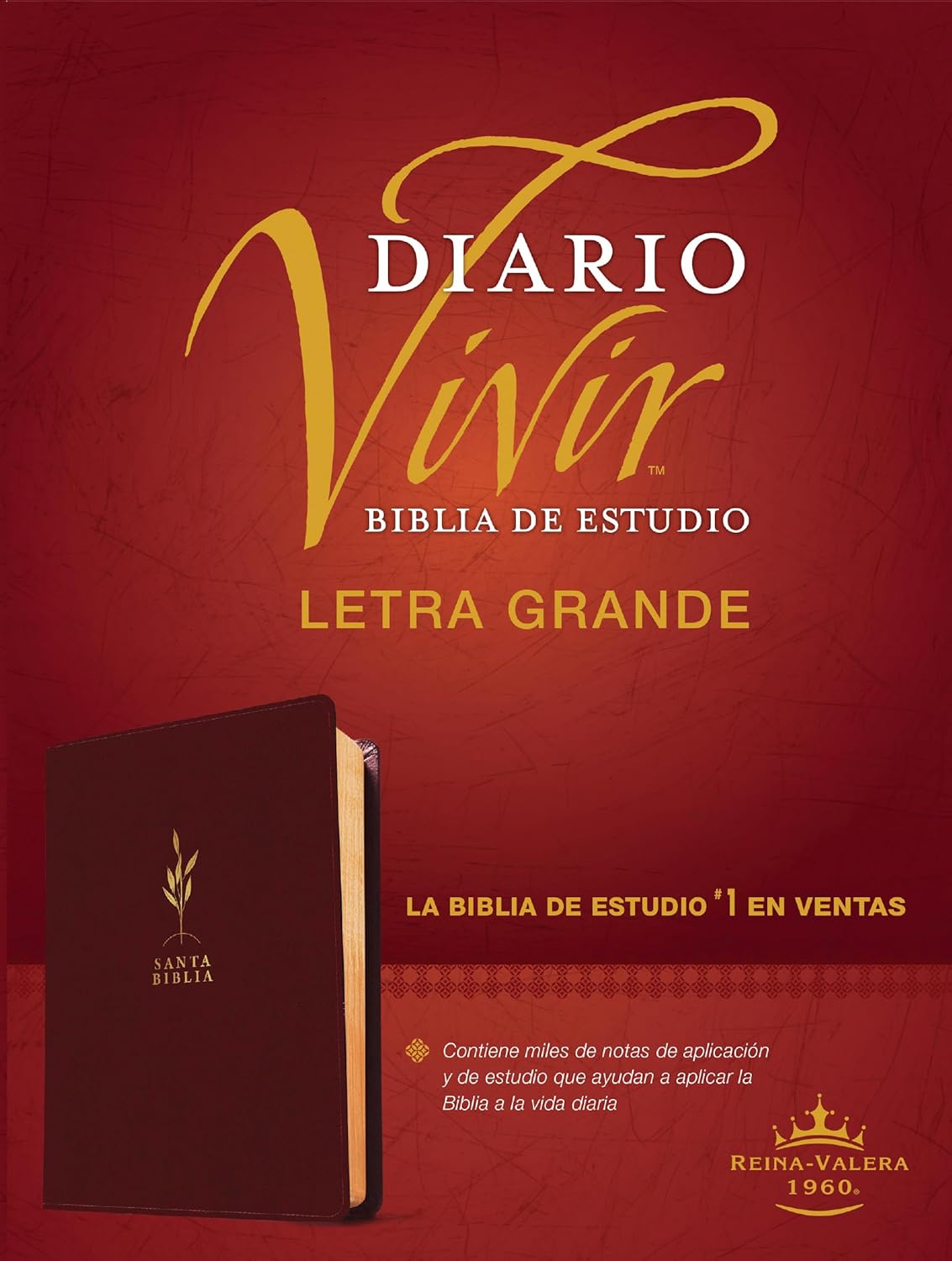 Biblia Reina Valera 1960 Estudio Diario Vivir Letra Mediana PJR Bordo