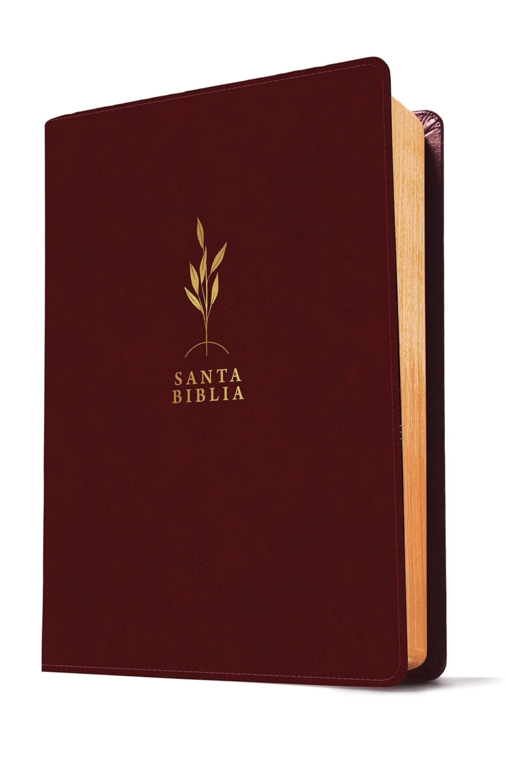 Biblia Reina Valera 1960 Estudio Diario Vivir Letra Mediana PJR Bordo