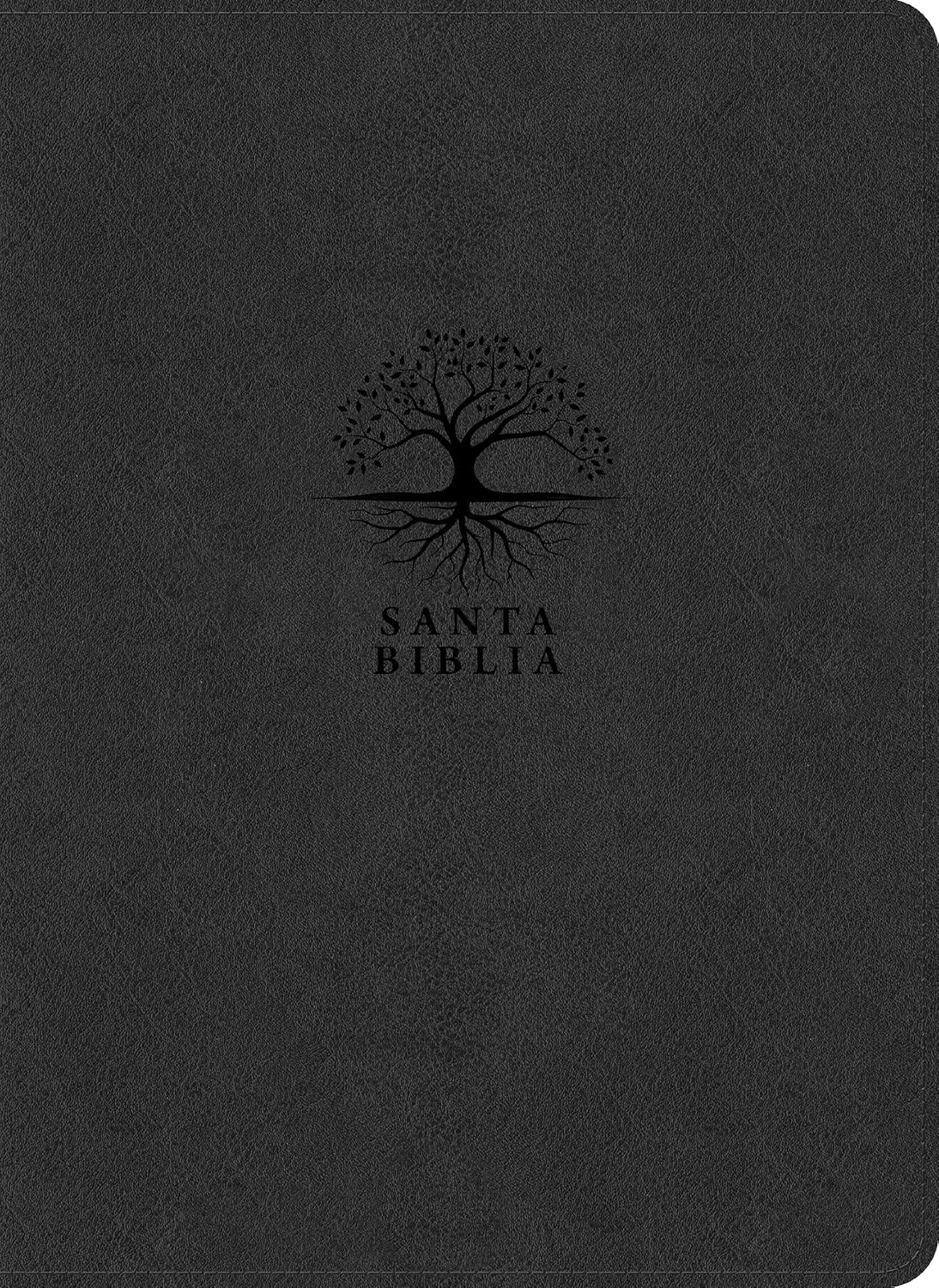 Biblia Reina Valera 1960 Estudio Diario Vivir Letra Mediana PJR Carbon