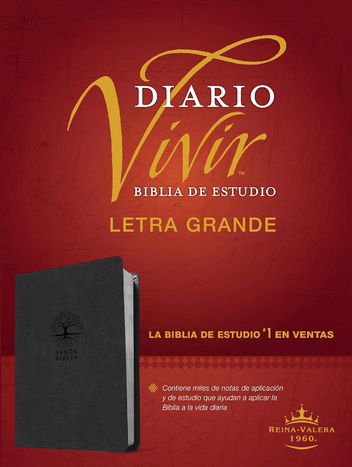 Biblia Reina Valera 1960 Estudio Diario Vivir Letra Mediana PJR Carbon