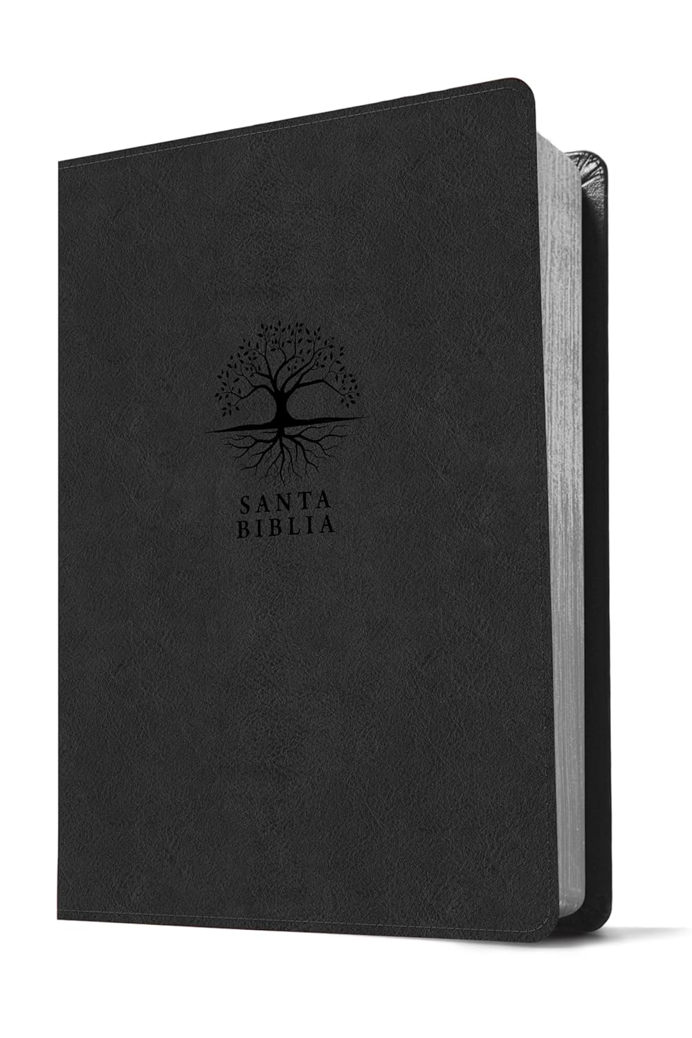 Biblia Reina Valera 1960 Estudio Diario Vivir Letra Mediana PJR Carbon