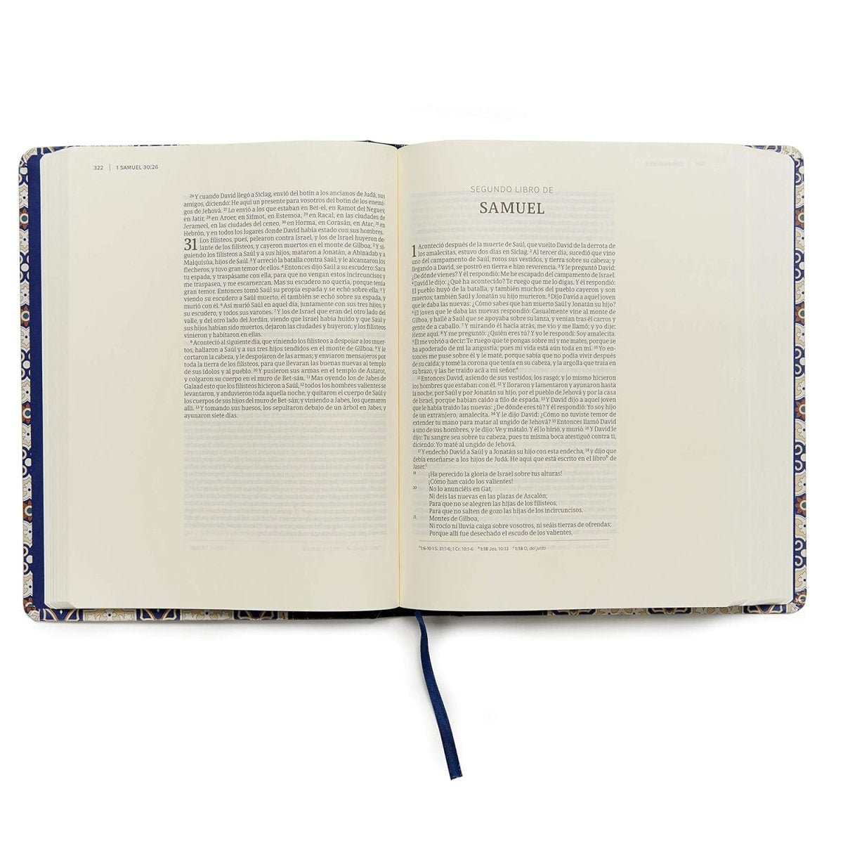 Biblia Reina-Valera 1960 (RVR60) De Apuntes, Letra Grande, Crema Y Azul, Mosaico, Símil Piel