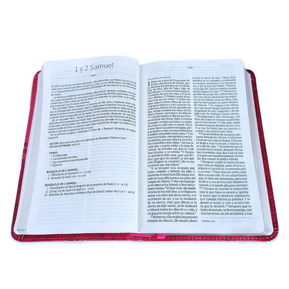 Biblia Reina Valera 1960 Mis Quince Coctel De Frambuesa Con Aplique Simil Piel