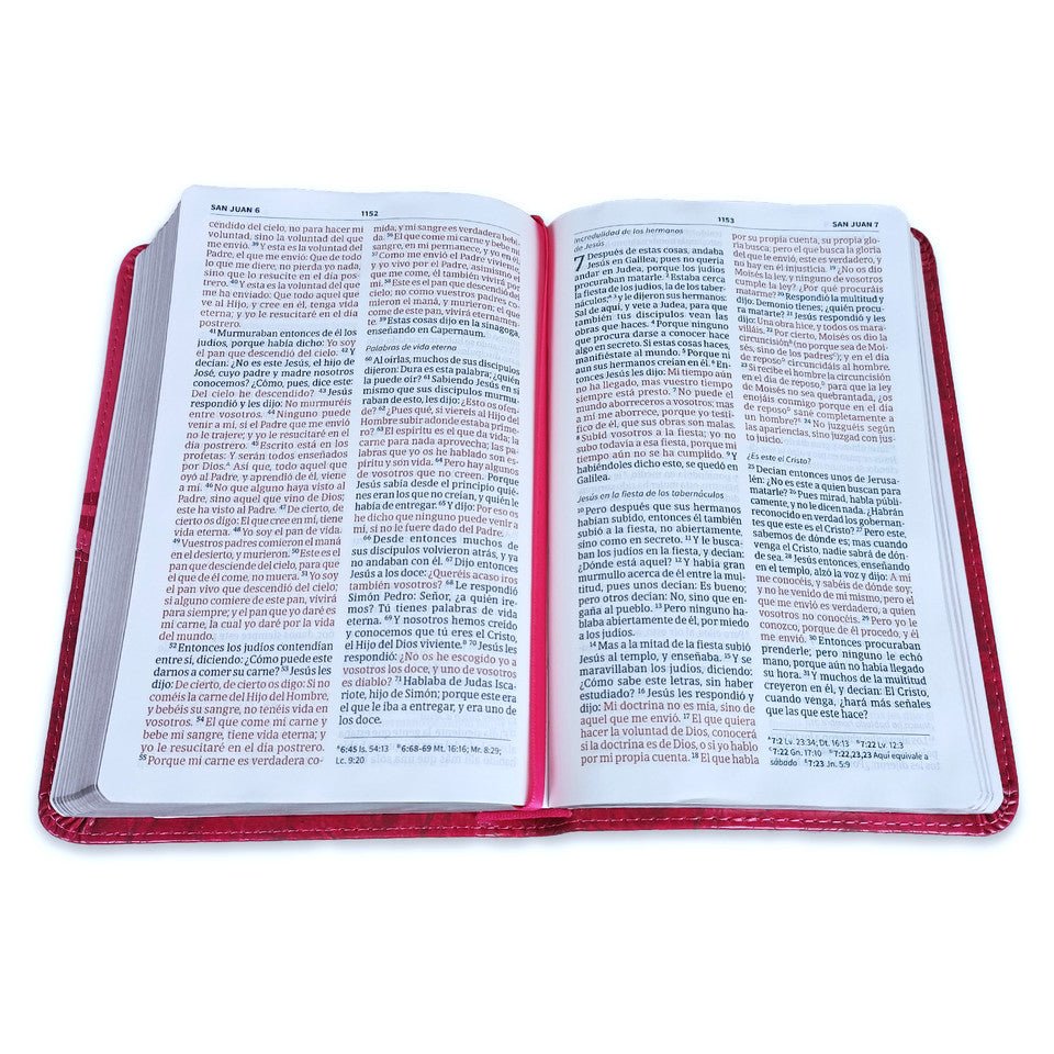 Biblia Reina Valera 1960 Mis Quince Coctel De Frambuesa Con Aplique Simil Piel