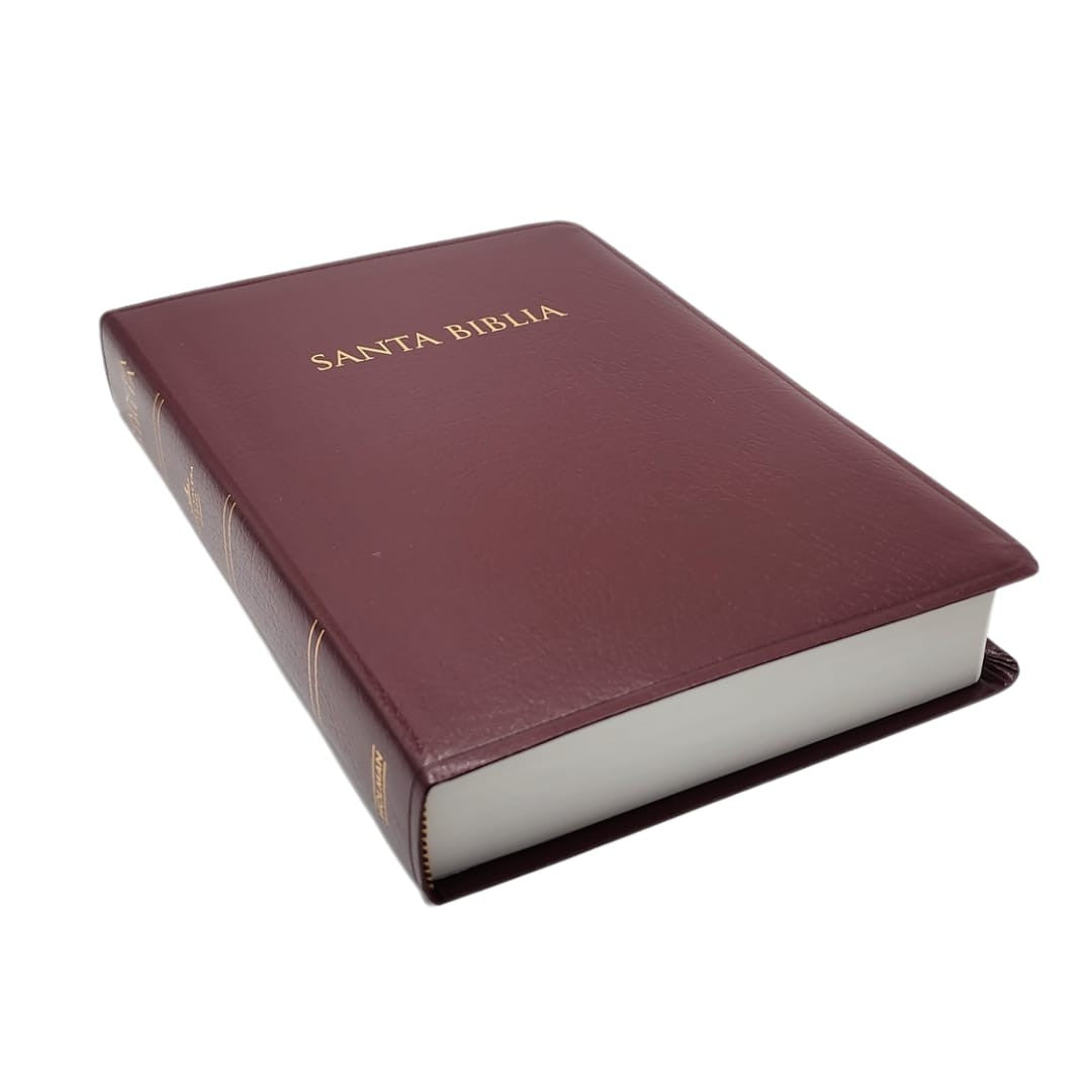 Biblia Reina Valera 1960 para Regalos y Premios Letra 8 puntos Bordo 14 x 20 cm