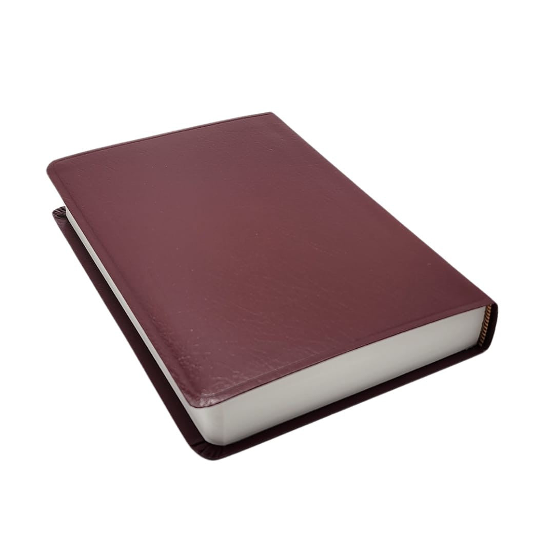 Biblia Reina Valera 1960 para Regalos y Premios Letra 8 puntos Bordo 14 x 20 cm