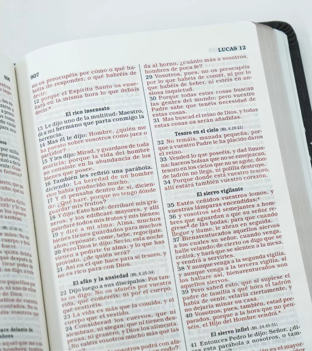 Biblia Reina Valera 1960 para Regalos y Premios Letra 8 puntos 14 x 20 cm Negro/Plata Imit. Piel