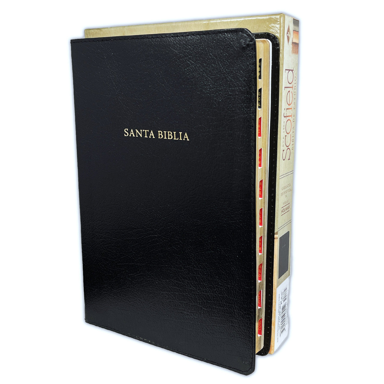 Biblia de Estudio Scofield Reina Valera 1960 – Tapa Piel Fabricada Negro con Índice