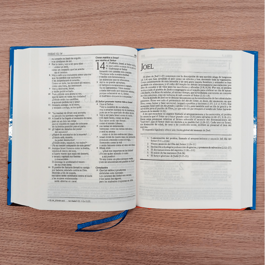 Biblia Dios Habla Hoy con Deuterocanónicos – Tapa Dura Azul, Letra 7 Puntos