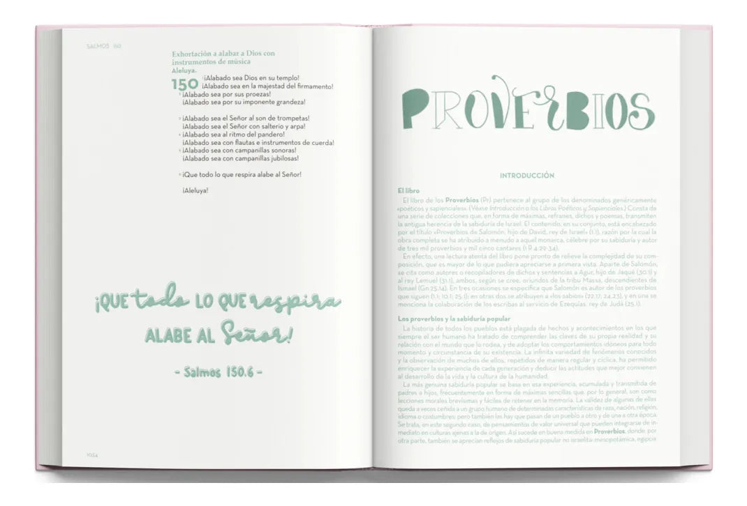 Biblia Devocional BibliArte · Reina Valera Contemporánea · Letra grande 12 puntos · Imitación piel color aqua + Bolso de regalo para transportarla