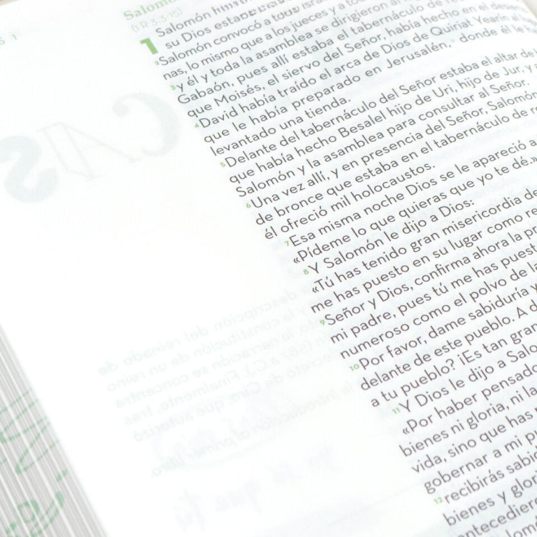 Biblia Devocional BibliArte · Reina Valera Contemporánea · Letra grande 12 puntos · Imitación piel color aqua + Bolso de regalo para transportarla