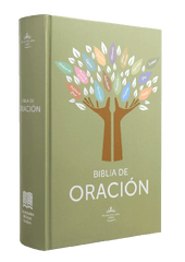 Biblia Reina Valera 1960 Oracion Concordancia Letra Gigante 16 Puntos Tapa Pu