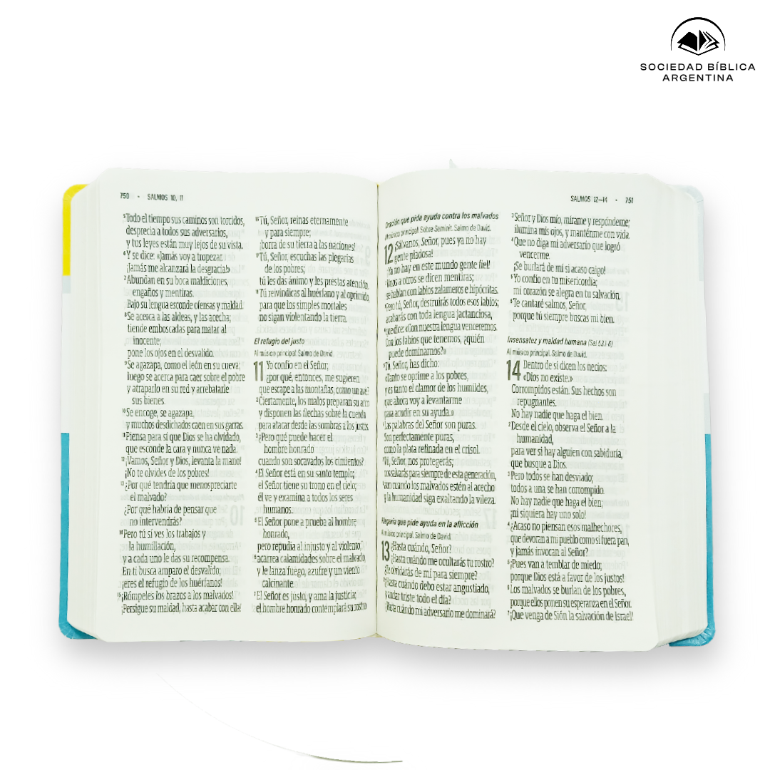 Biblia Reina Valera Contemporánea Letra Gigante Azul