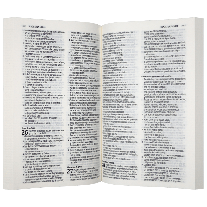 Biblia 1M Económica Joven Dios Habla Hoy – Tapa Cartulina Olas, 14 x 21 cm, Letra 9 Puntos
