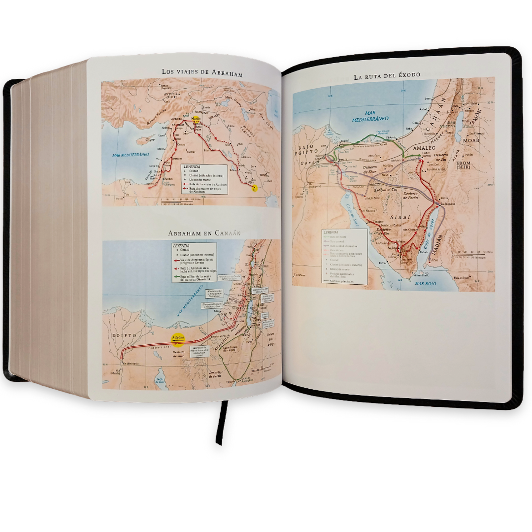 Biblia Estudio De La Reforma Piel Genuina Editor R. C. Sproul