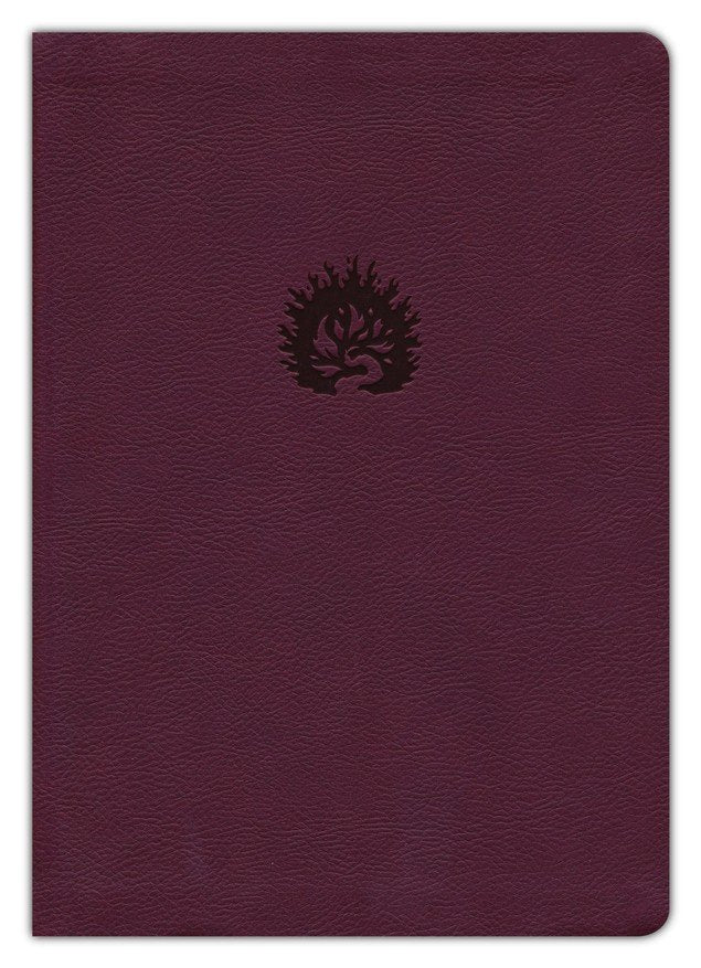 Biblia De Estudio De La Reforma Simil Piel Color Ciruela/Violeta R. C. Sproul