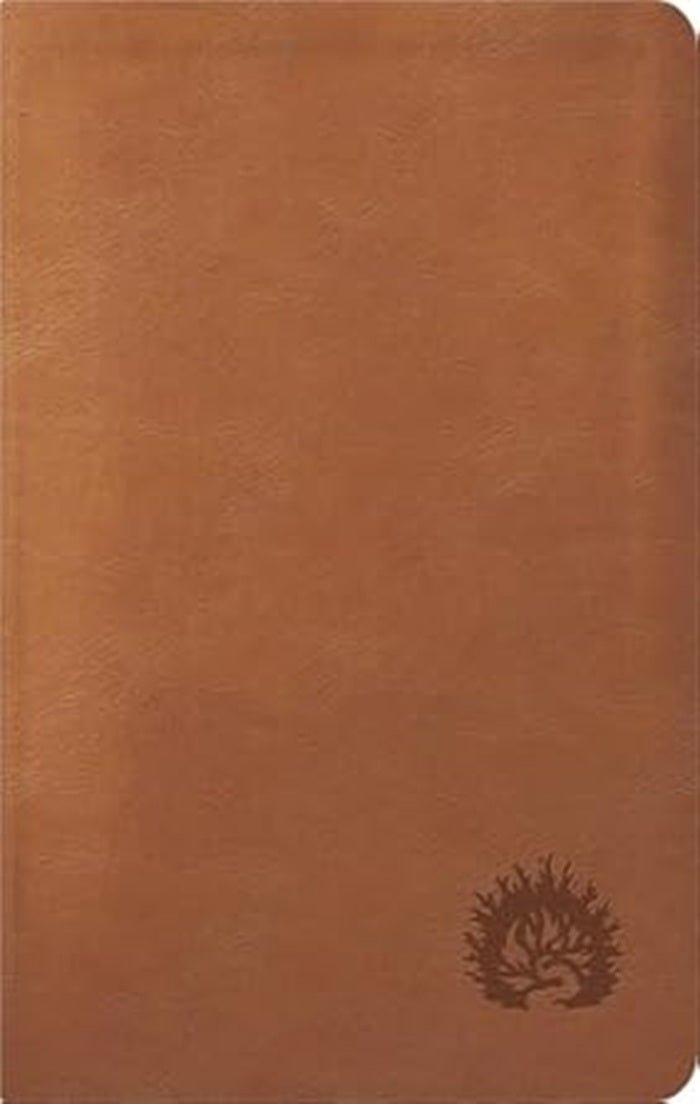 La Biblia De Estudio De La Reforma Nueva Biblia de las Amercias Edicion Condensada Simil Piel Marrón