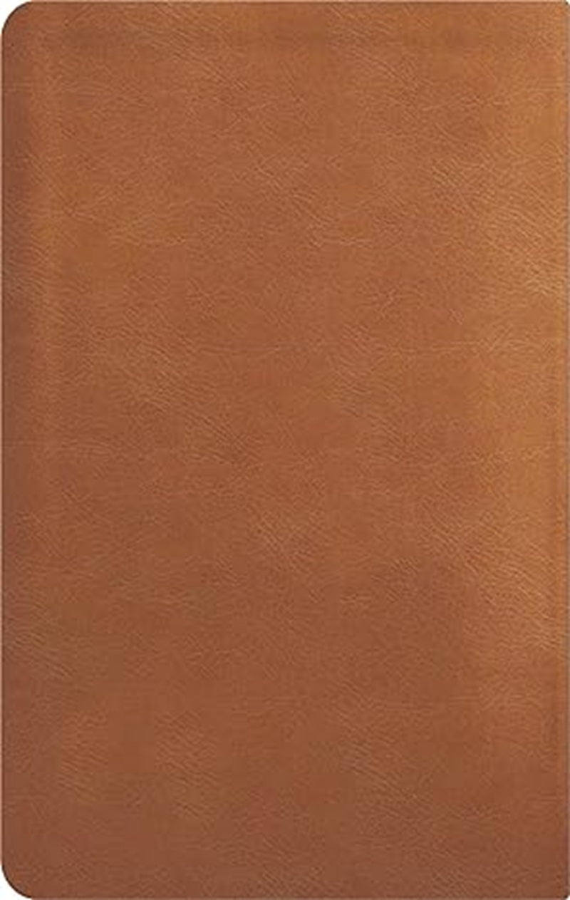 La Biblia De Estudio De La Reforma Nueva Biblia de las Amercias Edicion Condensada Simil Piel Marrón