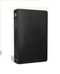 La Biblia De Estudio De La Reforma Nueva Biblia de las Americas Edicion Condensada Simil Piel Negra