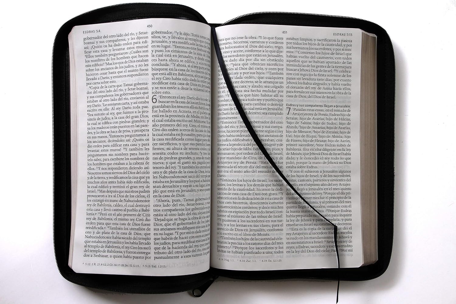 Biblia Reina Valera 1960 · Letra grande · Tapa piel color negro · Con cierre