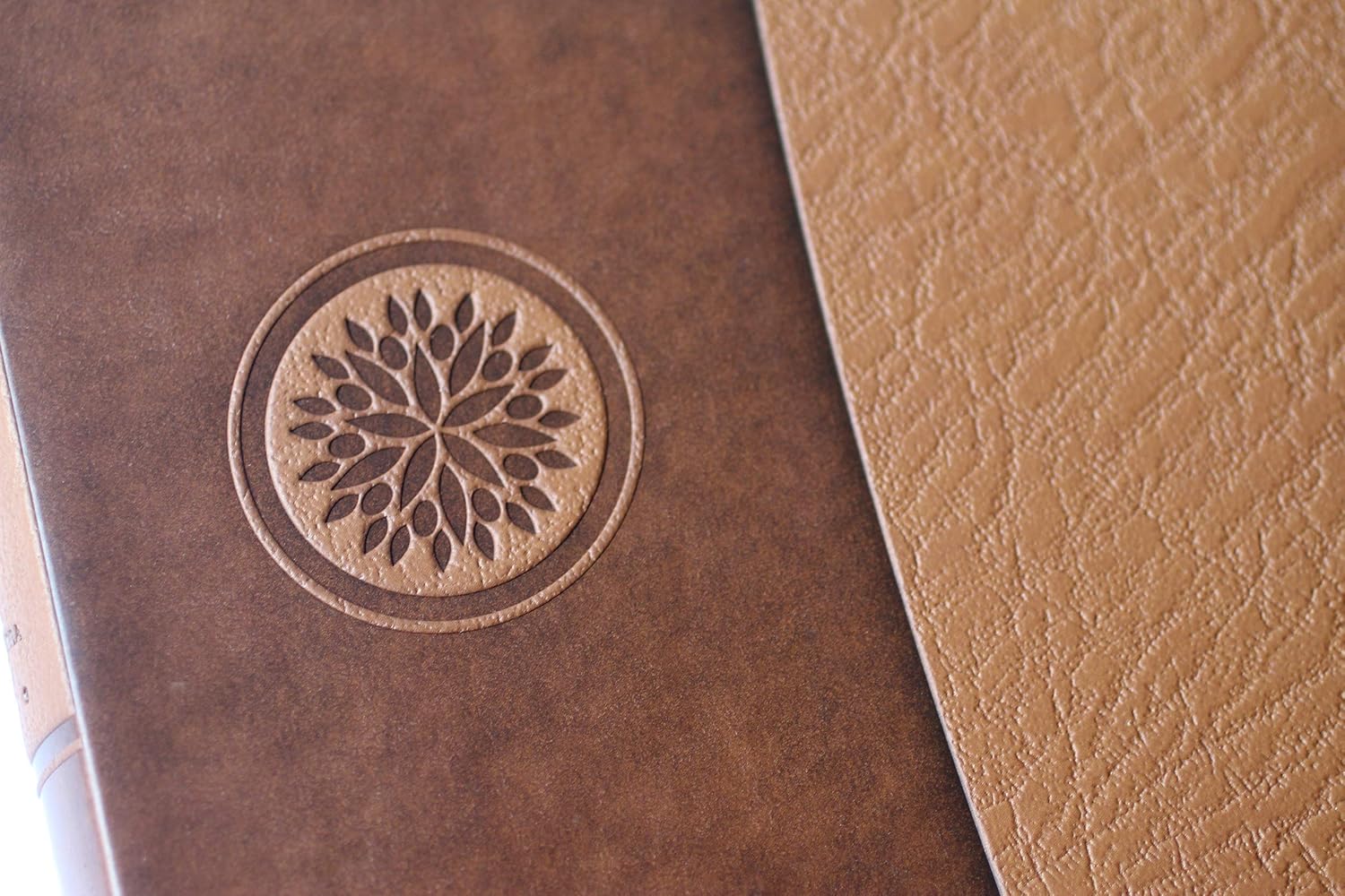 Biblia Reina Valera 1960 · Letra grande · Tapa piel color canela · Con cierre