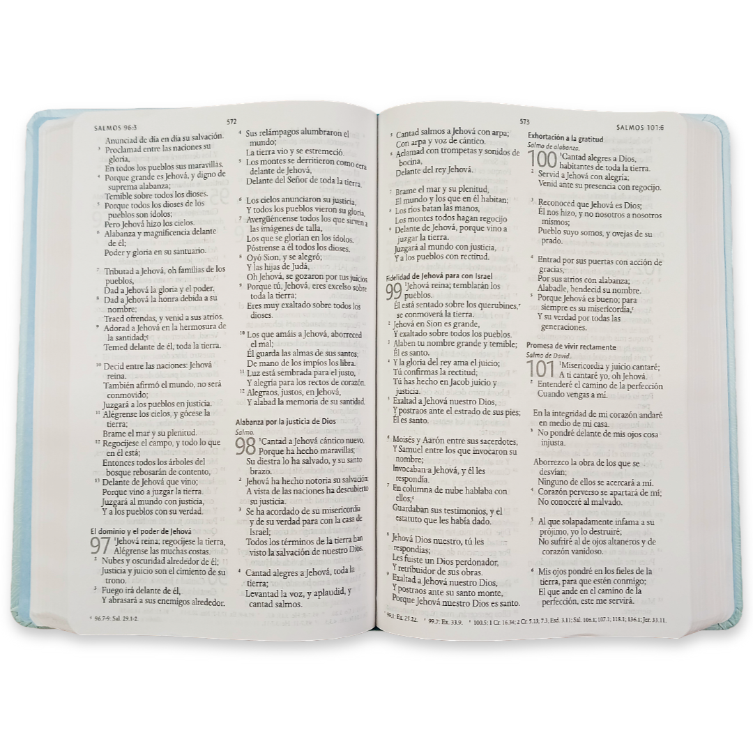Biblia Reina Valera 1960 con Concordancia y Palabras de Jesús en Rojo – Tapa Dura Flores Celeste, Letra 10.5pt, 14x20 cm