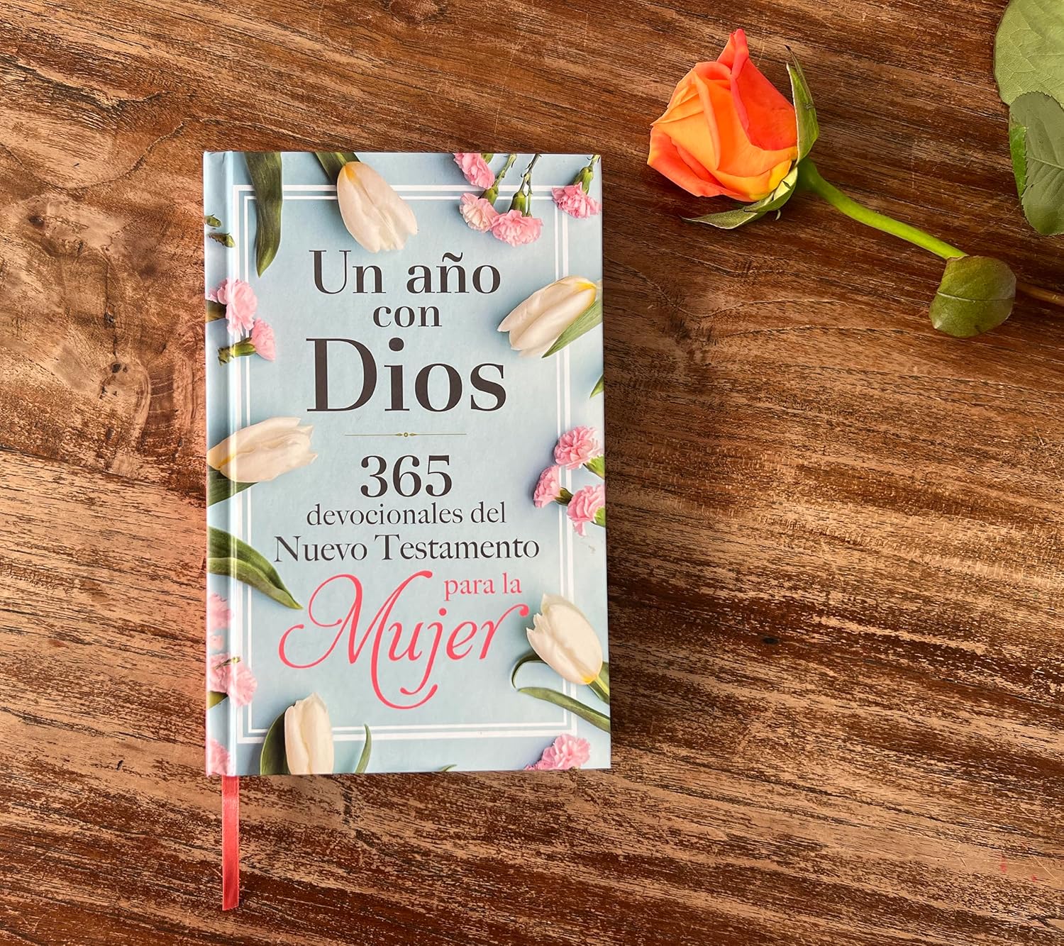 Un año con Dios en el Nuevo