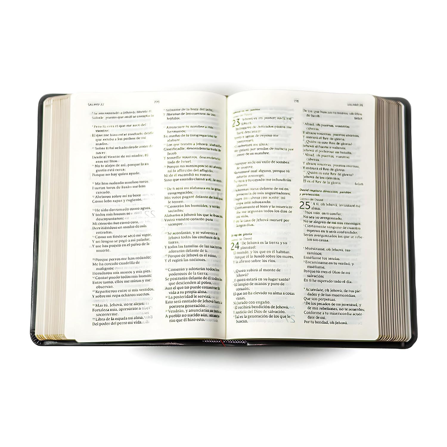 Biblia De Referencia Ilustrada - Reina Valera 1960 - Símil Piel - Color Negro