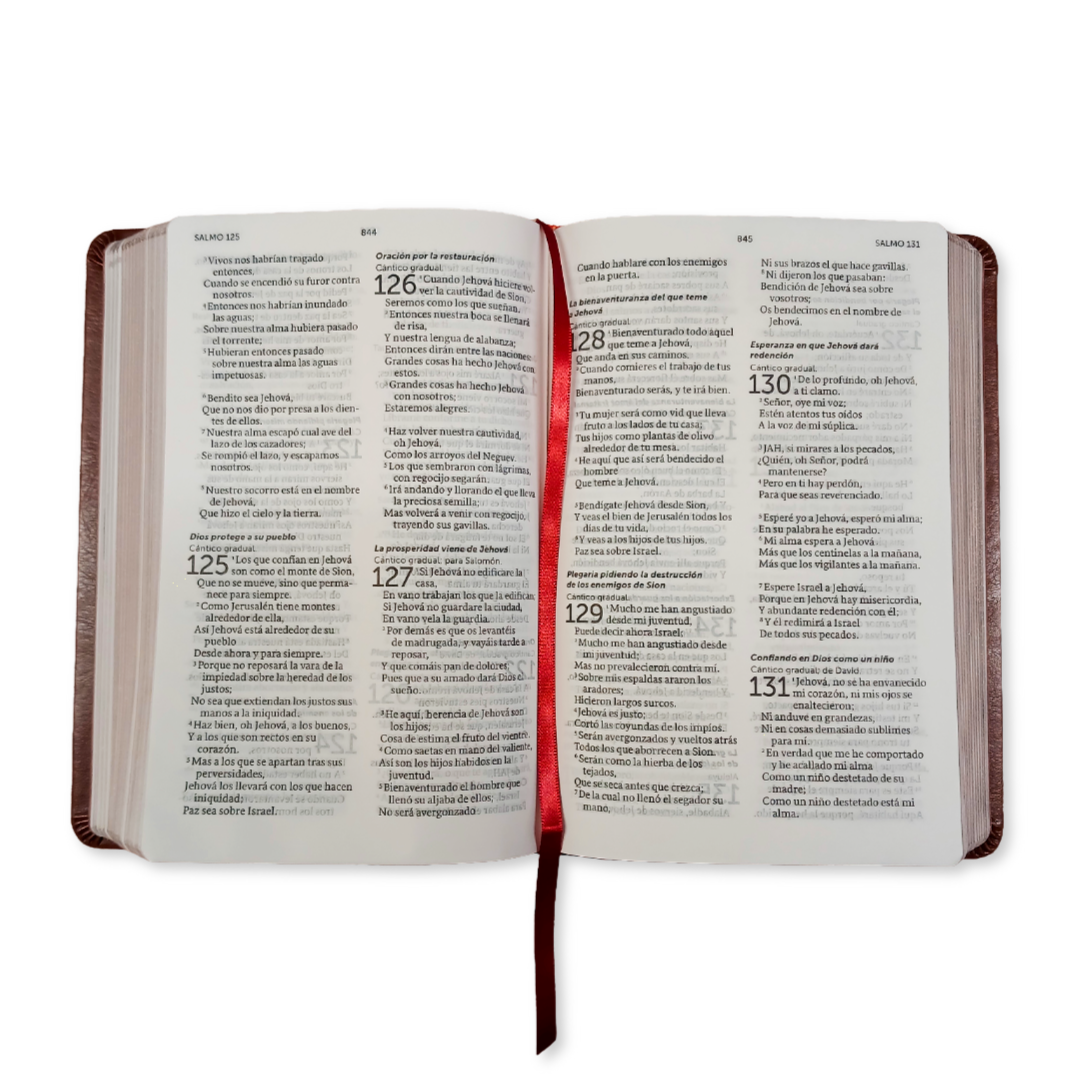 Biblia De Referencia Ilustrada - Reina Valera 1960 - Símil Piel - Color Marrón