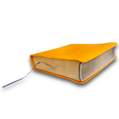 Biblia Nueva Traducción Viviente QR Principios para vivir Naranja