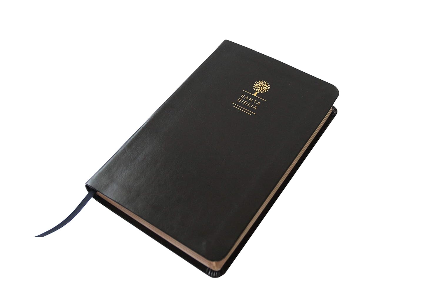 Biblia Reina Valera 1960 · Letra grande · Tapa piel color negro