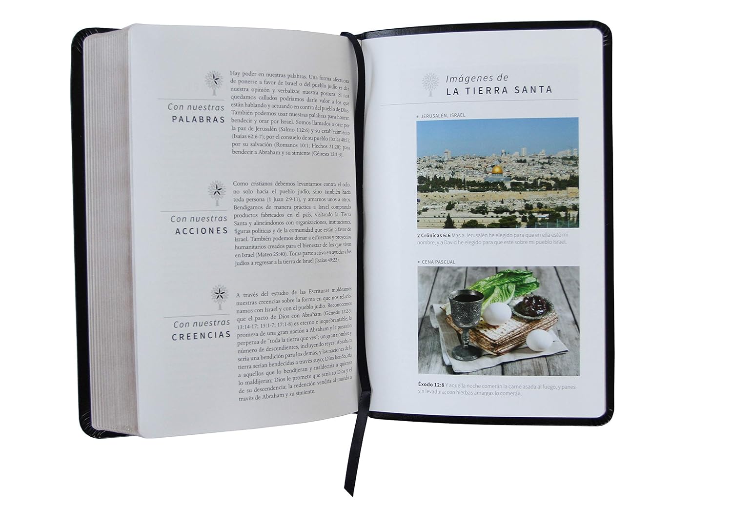 Biblia Reina Valera 1960 · Letra grande · Tapa piel color negro